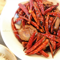 CINA New Modern Chinese - 