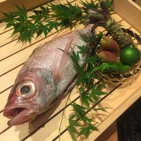 のどぐろ専門 銀座中俣 はなれ - 