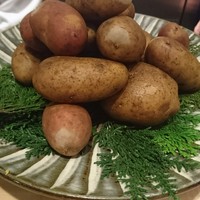 SUGALABO - 