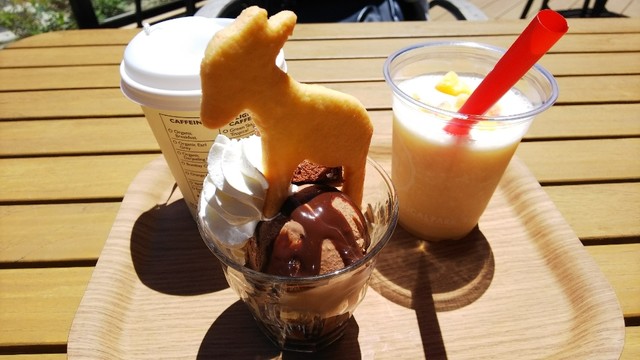 グーグーテラス（Good Gout terrace） - 八木山動物公園（ピザ）の写真