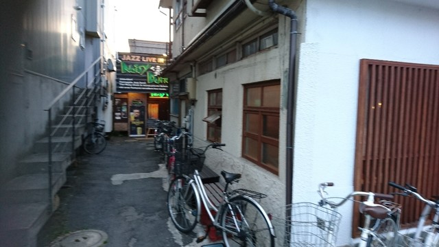 ノイジーダック（Noisy Duck） - 山形（バー）の写真