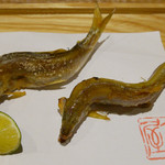こりょうり たか屋 - （撮影 20180613）琵琶湖の若鮎…初物です。