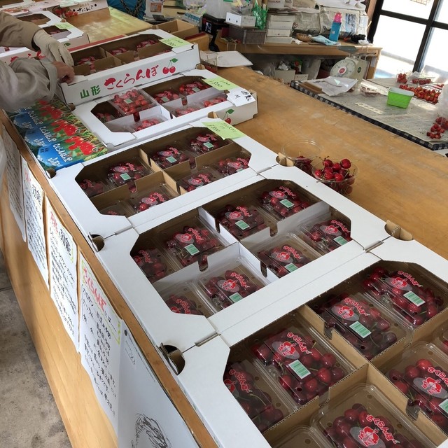 木村観光果樹園 - かみのやま温泉（その他）の写真