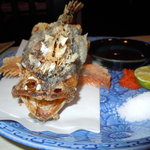 菜々海 - ガシラの唐揚げ