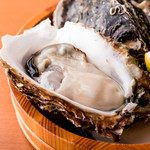 日本酒バルUMAMI