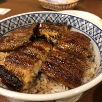 うなぎの新甫 - 上うな丼