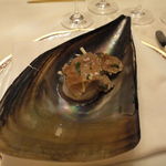 レストラン クレッセント - たいら貝と的鯛のマリネ　夏トリュフのサラダ添え