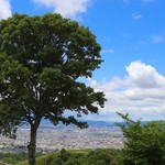 粟 - 若草山の山頂からの眺め