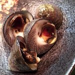 三扇 - ｼｯﾀｶ