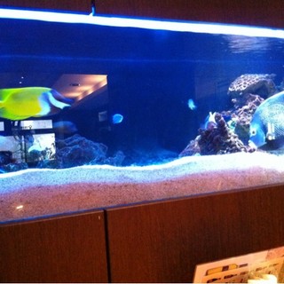 田園調布倶楽部 アクアラウンジ_2