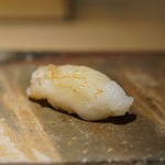 菊鮨 - アオリ烏賊