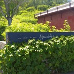 エグ・ヴィヴ - 