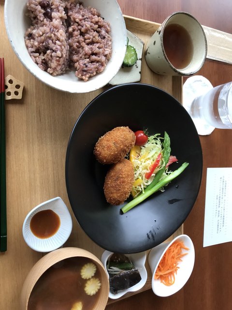 酵素玄米LABO 酵素玄米炊飯器『酵素玄米Labo ラージ（交換用パッキン付）』全製品