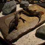 龍吟 - 泳がし鮎です