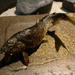 龍吟 - 絶妙の大きさでした。