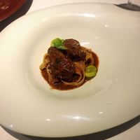 MOTORA  - 