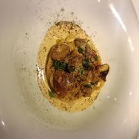 MOTORA  - 
