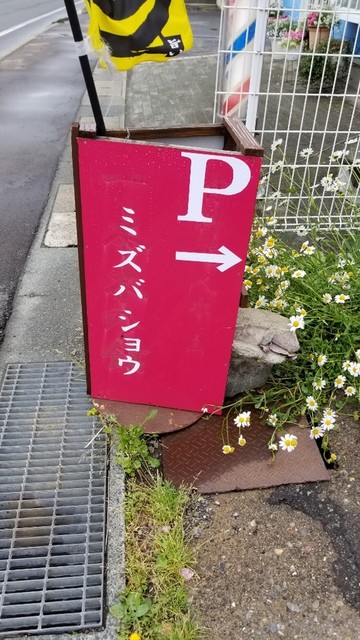 ミズバショウ - 渋民（食堂）の写真