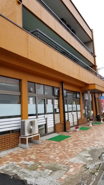 ミズバショウ - 渋民（食堂）の写真