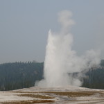 Chinatown Restaurant - 