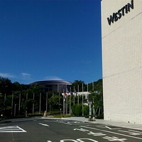 あわみ - 
