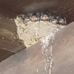 ふれあいの館 - 