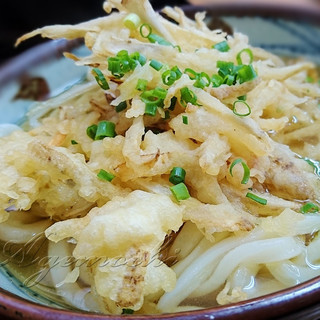 うどん錦