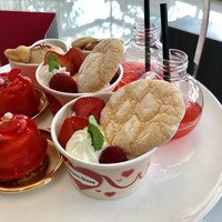 Lounge & Dining G - 