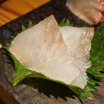 大塚 みや穂 - 真子鰈