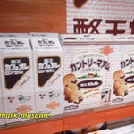 いいたて村の道の駅 までい館 - 