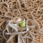 手打蕎麦 じゆうさん - 塩+山葵