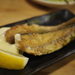 産地直送 粋な居酒屋 あいよ - 