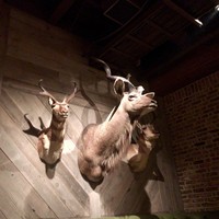 TOKYO Whisky Library - 