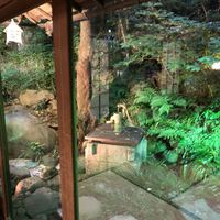 重箱 - 