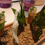 プレヴナンス - 