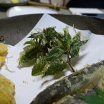 かたつむり - 生ミントの天ぷら