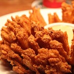 OUTBACK STEAKHOUSE - 