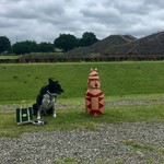 BENTO261 - 一日中立っていて、飽きないかい？？