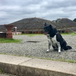 BENTO261 - 威風堂々の気分❣