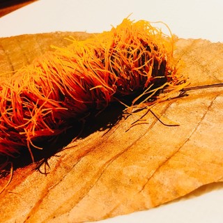 Doors 世界の泡と美食フレンチ_2