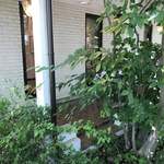 シュマンドール - 