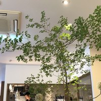 なかがわ - 