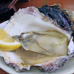 Hirano Ya - 岩牡蠣