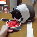 ヤオヨシ - 食べてみた