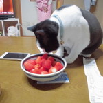 ヤオヨシ - 食べてみた