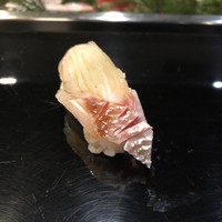 金寿司 - 