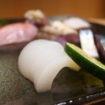 こころや - アオリイカ