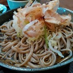 奥越前　はいから茶屋 - 外二のおろし蕎麦はだし汁ぶっかけ