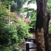 うかい鳥山 - 