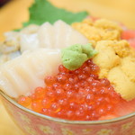 北のどんぶり屋 滝波食堂 - 4品＆酢飯小サイズ（いくら・生雲丹・活帆立・サーモン）@2,300円＋税